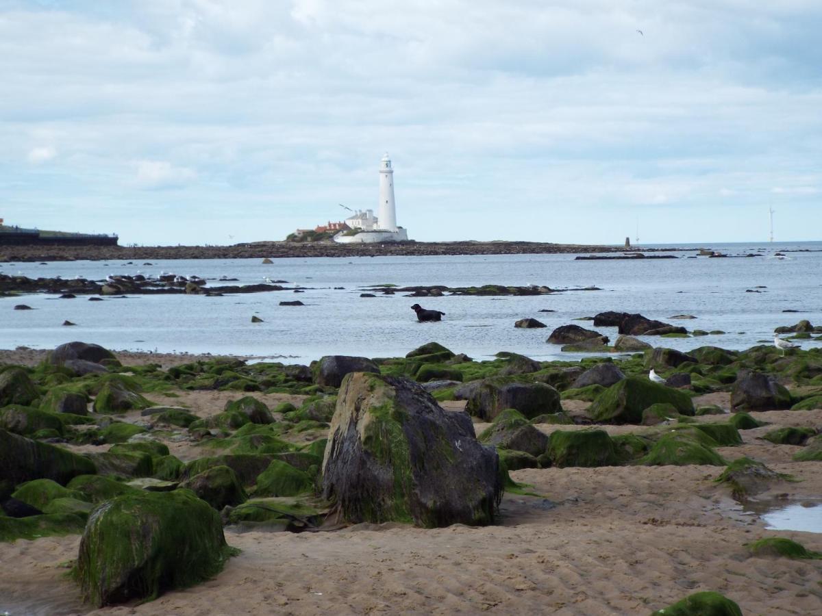 Boquhanran Caravan, Whitley Bay Hartley Luaran gambar